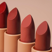 Lápiz Labial Líquido Mate de Larga Duración, Color Rojo Marrón Rosa, Venta al por Mayor, Maquillaje Cosmético, Logotipo Personalizado