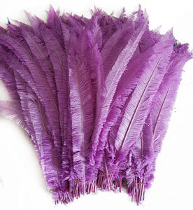Plumes d'autruche de 35 à 40 cm, <span class=keywords><strong>bricolage</strong></span>, vente en gros, plumes à plumer, à vendre - Product Image 1