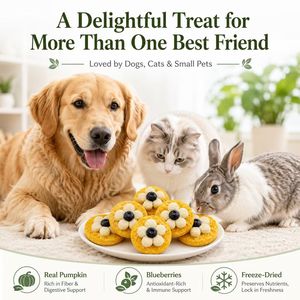 Premium Organic Antioxidant Rich Dental Care Bulk Small Batch Export Quality Healthy Pet Treats Freeze Dried Blueberry Pumpkin - Product Image 2