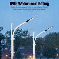 Lampadaire 30W 50W 100W AC IP65 Étanche LED pour usage commercial, jardin et extérieur