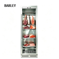 Réfrigérateur congélateur électrique en acier inoxydable avec système UVC et sans givre pour vieillissement de la viande (hôtels et usage domestique)