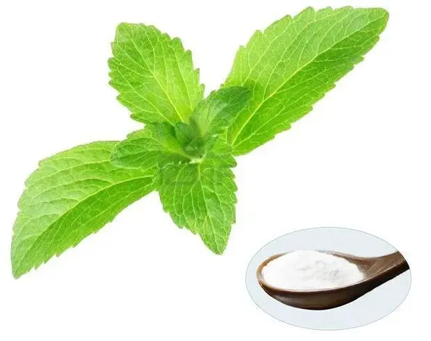 A new natural sweetener substitute for cane sugar or saccharin in all fields.Sweetener Stevia