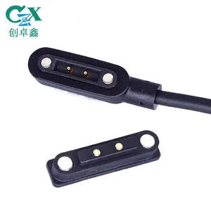 2pin Anti-Reverse Verbinding 5v2a Magnetische Pogo Pin Oplaadkabel 2pin Magneet Pogo Pin Connector