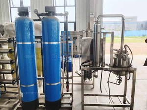 0.25T/H Commercial RO Water Purifier <b>Machine</b> with PLC & Pump | 1 Year Warranty | Efficient Filtration Equipment - Product Image 2