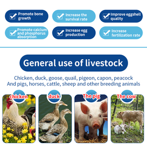 Yu Fang Hall bò cừu tăng trưởng vỗ béo bổ sung sức khỏe đường ruột vitamin Vitamin tổng hợp phụ gia thức ăn hòa tan Methionine - Product Image 4