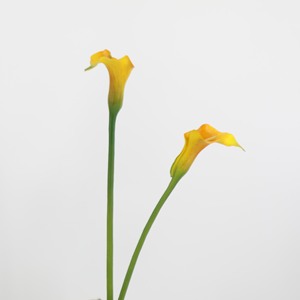 Vente en gros de grandes fleurs artificielles en PU de 65 cm, <span class=keywords><strong>lys</strong></span> blancs pour la décoration du salon, mariage, extérieur, <span class=keywords><strong>lys</strong></span> noirs et oranges - Product Image 3