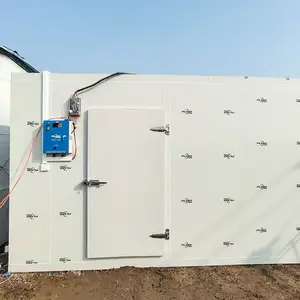Cold Room Storage 100mm thickness PIR PU Panel with com lock
