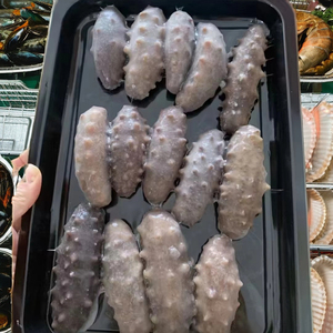 Thịt tươi & hải sản vỉ chân không Khay da PET/PP vật liệu nhựa cho bít tết Trái Cây Rau bao bì - Product Image 1