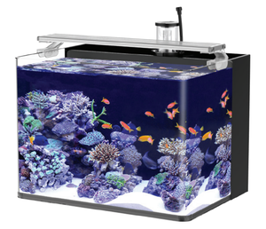 ตู้ปลาทะเลขนาดเล็กแบบใสพิเศษสำหรับเลี้ยงปลาทะเล - Product Image 5