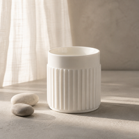 Ensemble de vases en céramique nervurée blanc mat ARM LVG Nordic, style moderne Wabi-sabi, pot à fleurs cannelé, carafe décorative pour la décoration de la maison, du bureau ou de la table