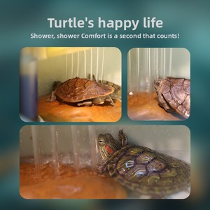 Vrijstaande moderne slimme schildpaddenkweektank voor thuisgebruik, met klim- en zonneplatforms, eenvoudige waterverversing en ontsnappingsbeveiliging. - Product Image 4