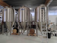 Fermenteur de brassage Cassman Top Manway avec enveloppe glycolée et isolation en SUS 304, réservoir de fermentation de bière haute productivité