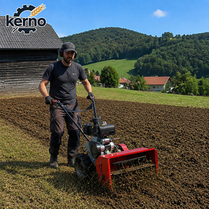 Motoculteur à essence 7 CV avec boîte de vitesses et transmission par courroie, machine de désherbage haute productivité pour l'agriculture - Product Image 1
