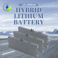 Batería de Litio para Auto Híbrido de Nueva Energía, 6500mAh, Alta Calidad, para Prius Gen 1234, 70c, 0.7kg, 12V, Ni-MH, 60 Meses de Garantía