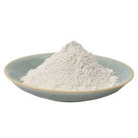 Carbonate de Calcium Halal de Haute Pureté GCC de Qualité Alimentaire CaCO3 pour l'Application dans les Dentifrices