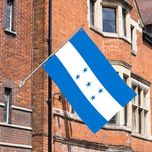 3x5Ft Alta calidad Triple/Doble capa más tela opaca 100D Tela de poliéster Bandera de país Hondur País - Product Image 3