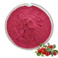 Leverancier van hoogwaardig natuurlijk fruitpoeder, wateroplosbaar cranberry fruit- en sappoeder, cranberrypoeder