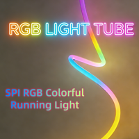 Tube lumineux SPI Chasing RGB 25mm 360 ° Éclairage 3D flexible SK6812, bande néon RGB colorée, application/télécommande pour la décoration de bar/discothèque