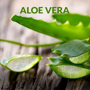 Herstellerangebot Veganes Hexanfreies Organisches Trägeröl Kaltgepresstes Unraffiniertes Reines Aloe Vera Öl für Haut Gesicht Körper Haar - Product Image 2