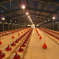 Gallinero Prefabricado de Estructura de Acero Resistente a Terremotos