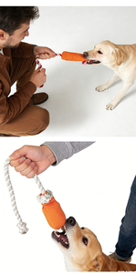 Floating Canvas Dog Tug Toy with Cotton <b>Rope</b> Interactive Chew Toy for Water Play Tug of War & Teeth Cleaning - Product Image 6