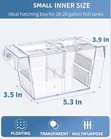 Boîte d'élevage de poissons d'aquarium, incubateur en acrylique avec ventouses, boîte d'isolation moyenne pour bébés poissons crevettes Betta