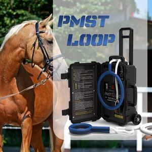Equine PMST LOOP PEMF terapi lapangan elektromagnetik perawatan aman dan efektif mengurangi nyeri nyeri nyeri nyeri pada kuda - Product Image 5