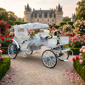 Nouvelle Conception – Carrosse Électrique Entièrement Blanc pour 6 Passagers, Deux Rangs de Sièges, Personnalisable, Idéal pour Cérémonies de Mariage et Parades Scéniques - Product Image 6