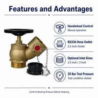 Robinet d'angle en fonte de bronze pour hydrant d'incendie avec volant et sortie latérale, et raccord de tuyau d'incendie BS336