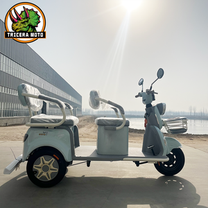 Triciclo Eléctrico Compacto de 2 Pasajeros, 48V 500W, Silencioso, Carrocería Abierta, 30-50km, 200-300kg, Eje Trasero Integrado, Engranajes de Precisión - Product Image 1