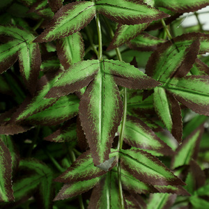Artificial Nandina Domestica <b>Plastic</b> Green Plant High Simulation Wedding Decoration Indoor Outdoor Use - Product Image 3