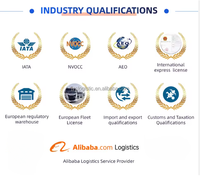 Service client Ali Baba en anglais pour les produits Amazon FBA Shopify - Service intermédiaire États-Unis Mexique Assistance 24h/24 et 7j/7 Air+Express