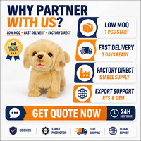 Jouet en peluche OEM pour chien Golden Retriever, robot intelligent compagnon pour enfants, machine d'éveil éducatif, cadeau
