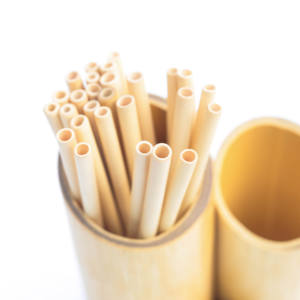 Bamboo seagrasss Party, Wedding, Business Gifts, Camping, Travel 100% Natural Bamboo Sustainable, Eco-Friendly - Product Image 4