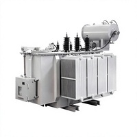 Transformateurs de distribution immergés dans l'huile pour extérieur 10kV, 11kV, 35kV