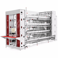 Nouveau système de cages en acier galvanisé à chaud pour poules pondeuses, cage en H pour 128 poulets, équipement agricole automatique Agricon