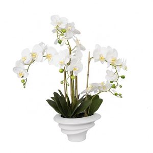 Oh Arts New Arrival Decorative Artificial Real Touch Orchid in Ceramic Pot Alocasia Bonsai Artificial <b>Ornamental</b> Potted Plants - Product Image 2
