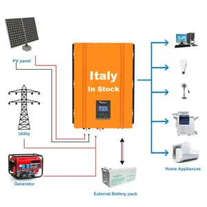 Italia contatto a secco trasformatore toroidale a bassa frequenza DC 24V 48V 220V 230V 50Hz onda sinusoidale pura 5000W 6000W 6KW caricatore Inverter