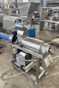 Presse-agrumes en acier inoxydable VBJX pour ananas, tomates, extracteur de pulpe, machine à jus de fruits et lait de coco avec broyeur - Product Image 2