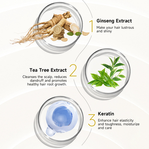 Champú y Acondicionador con Aceite de Árbol de Té y Ginseng Keratina, Set MaxTherapy, Alivia la Picazón del Cuero Cabelludo, Refresca y Limpia la Caspa, para Mujeres y Hombres - Product Image 2