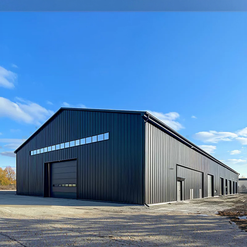 Industrial Warehouses Shed for Prefabricated Big