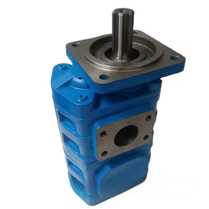 Repuestos Hidráulicos para Cargadora: Bomba Hidráulica de Doble Engranaje con Eje Recto de Hierro Fundido Azul al por Mayor - Product Image 4
