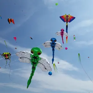 Grande mostrador kite dragonfly da fábrica de weifang kaixuan kite