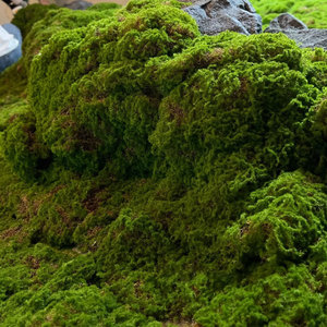 High Quality Artificial Flower Mat Artificial <strong>Moss</strong> Mat Artificial Realistic <strong>Moss</strong> Square Panels Plastic Grass Wall Plant <strong>Type</strong> - Product Image 4
