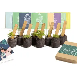 Kit de cultivo de ervas para jardim interno, plantio internacional, criativo para iniciantes, cozinha DIY