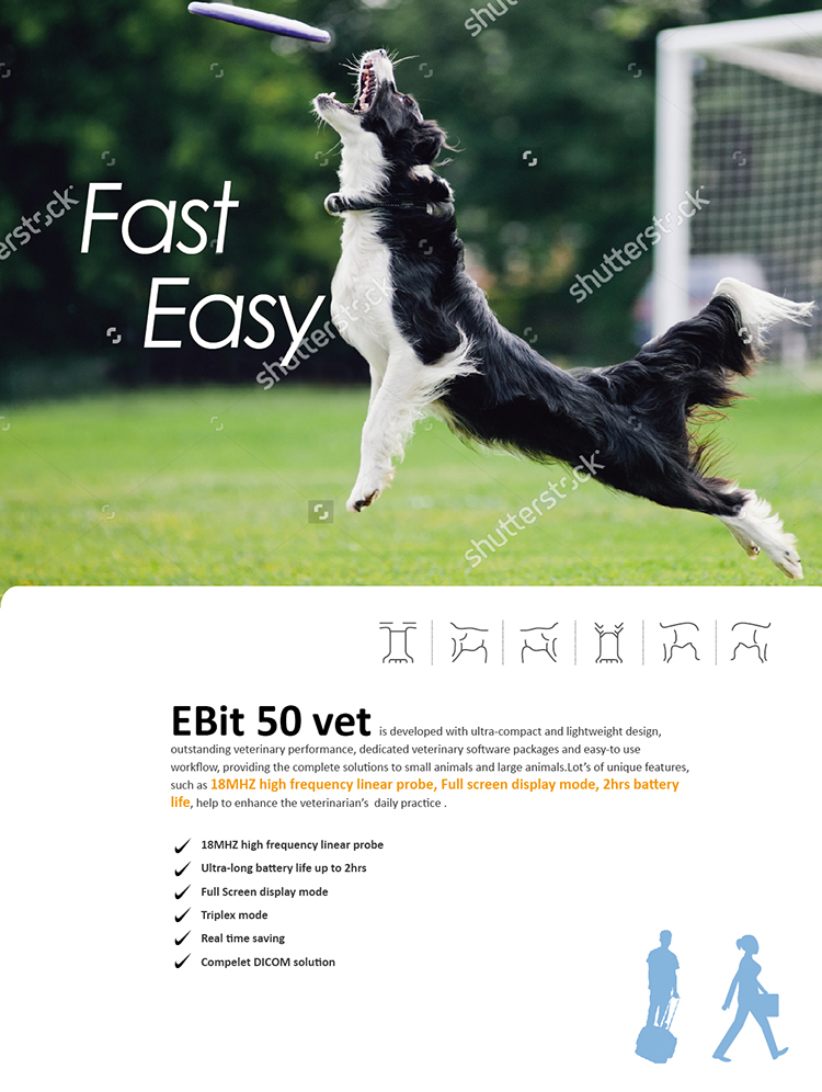 Fábrica Chison Ebit 50 Equipos De Ultrasonido Médico 3D 4D Sistema de Doppler de Color Con Sonda Convexa