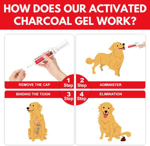 Carbón Activado <span class=keywords><strong>de</strong></span> 60 ml para <span class=keywords><strong>Perros</strong></span> y Gatos, Fórmula <span class=keywords><strong>de</strong></span> Primeros Auxilios con Carbón para <span class=keywords><strong>Perros</strong></span>, Kit <span class=keywords><strong>de</strong></span> Primeros Auxilios para <span class=keywords><strong>Perros</strong></span>, Carbón para Emergencias - Product Image 3