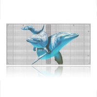 Panneau d'affichage transparent à LED Module Flim Écran de film mural flexible pour écran de film de verre