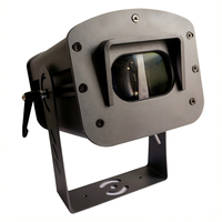 Projecteur laser ciel étoilé 2W RGB pleine couleur, étanche IP65, DMX512, 60, directement de l'usine °   Scénographie pour scène de jardin en plein air