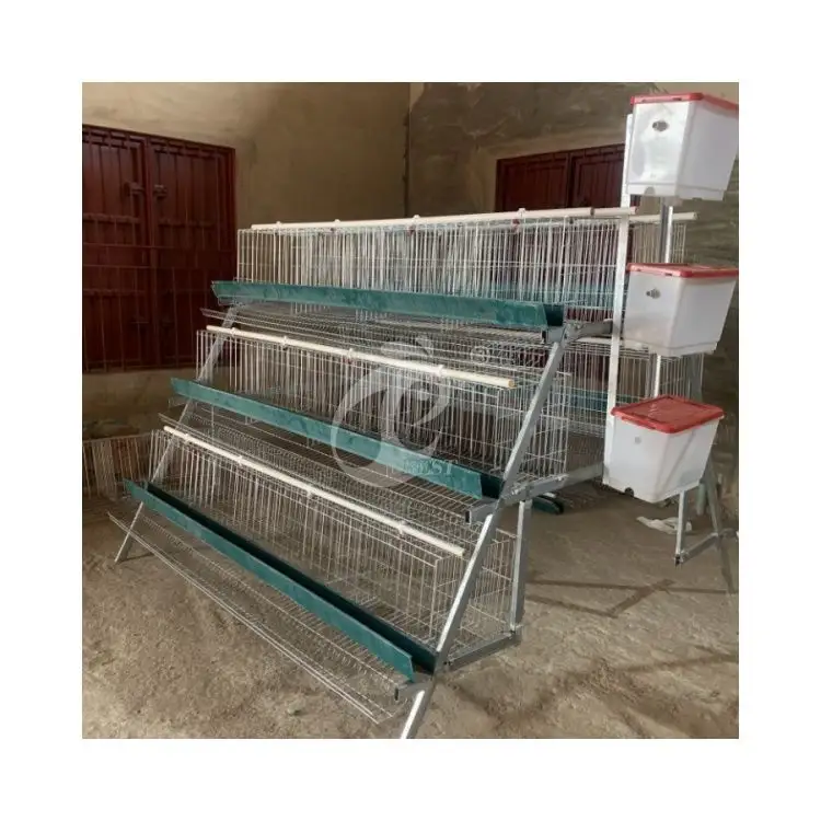 Gaiolas de bateria para galinhas poedeiras, gaiolas manuais galvanizadas a quente para galinhas poedeiras em Angola
